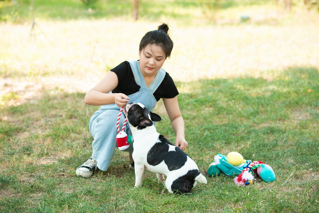 Woman plays with her dog in the grass