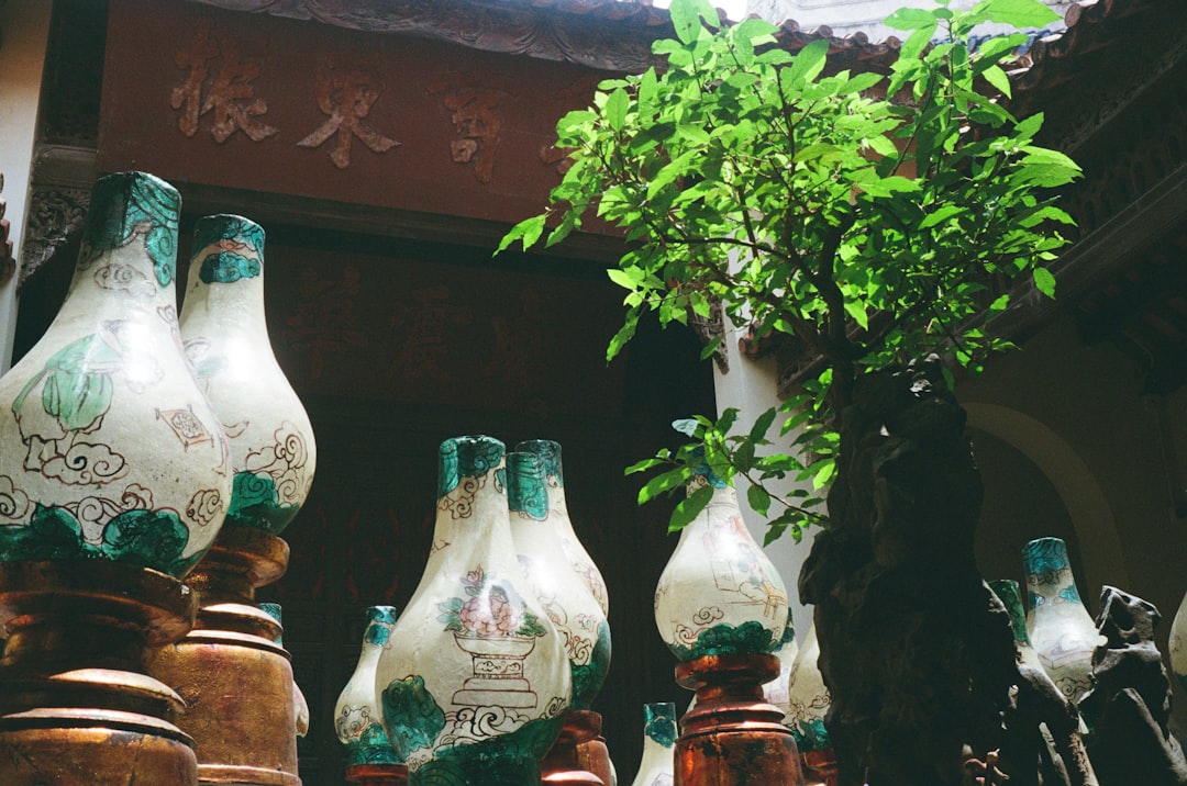 Ceramic vases and greenery inside a building.