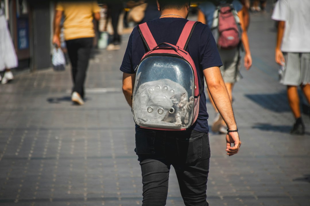 A person wearing a pink pet carrier backpack with a kitten inside on a street