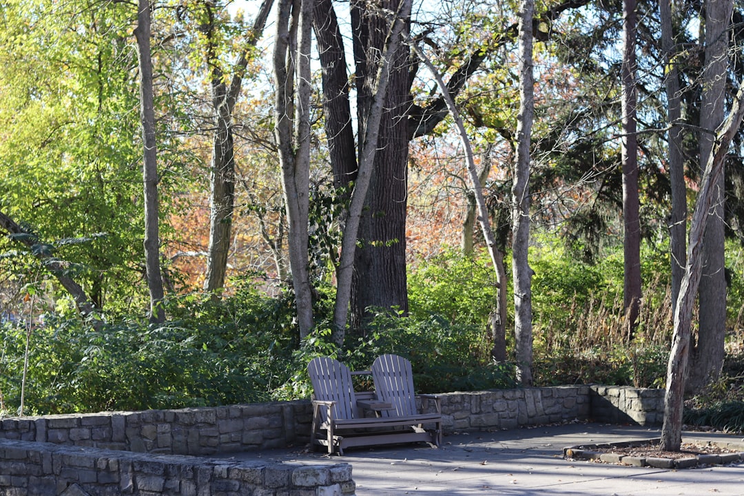 Two adirondack chairs in a wooded area