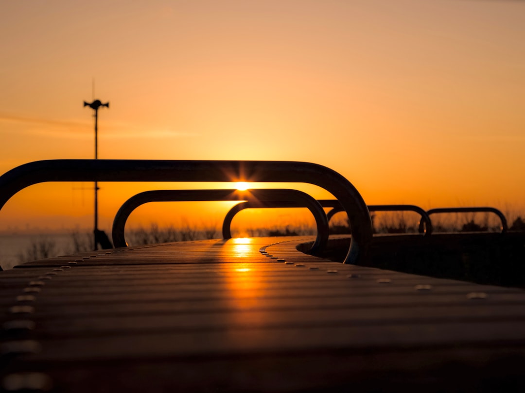Sunset reflecting on curved benches.