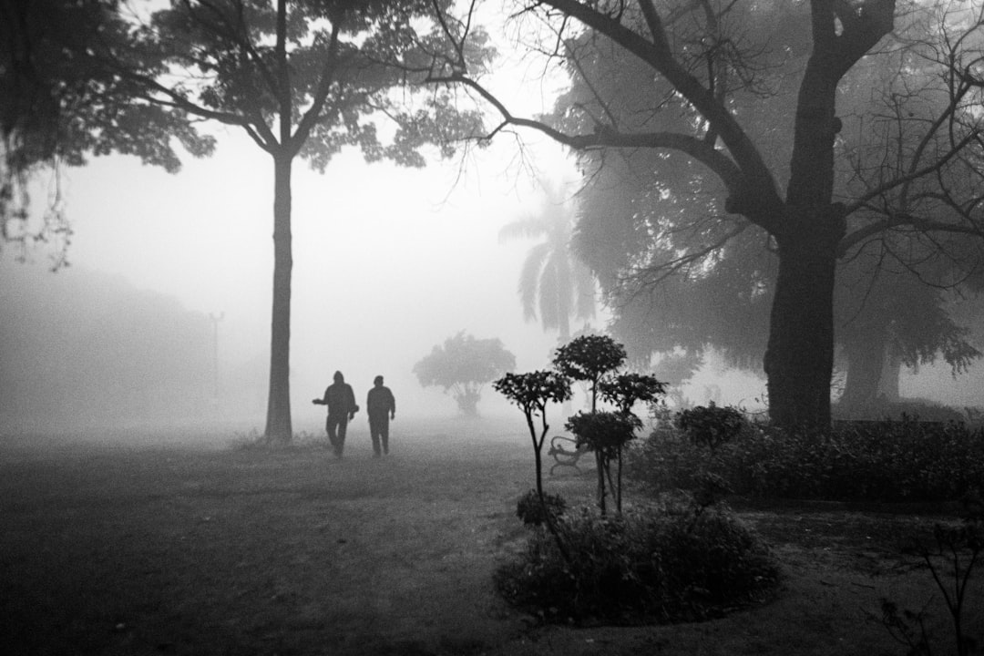 Two figures walk through a foggy park with trees.