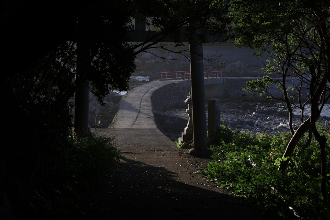 Path through a torii gate towards a bridge