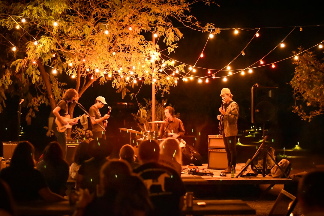 people gathering on concert during night time