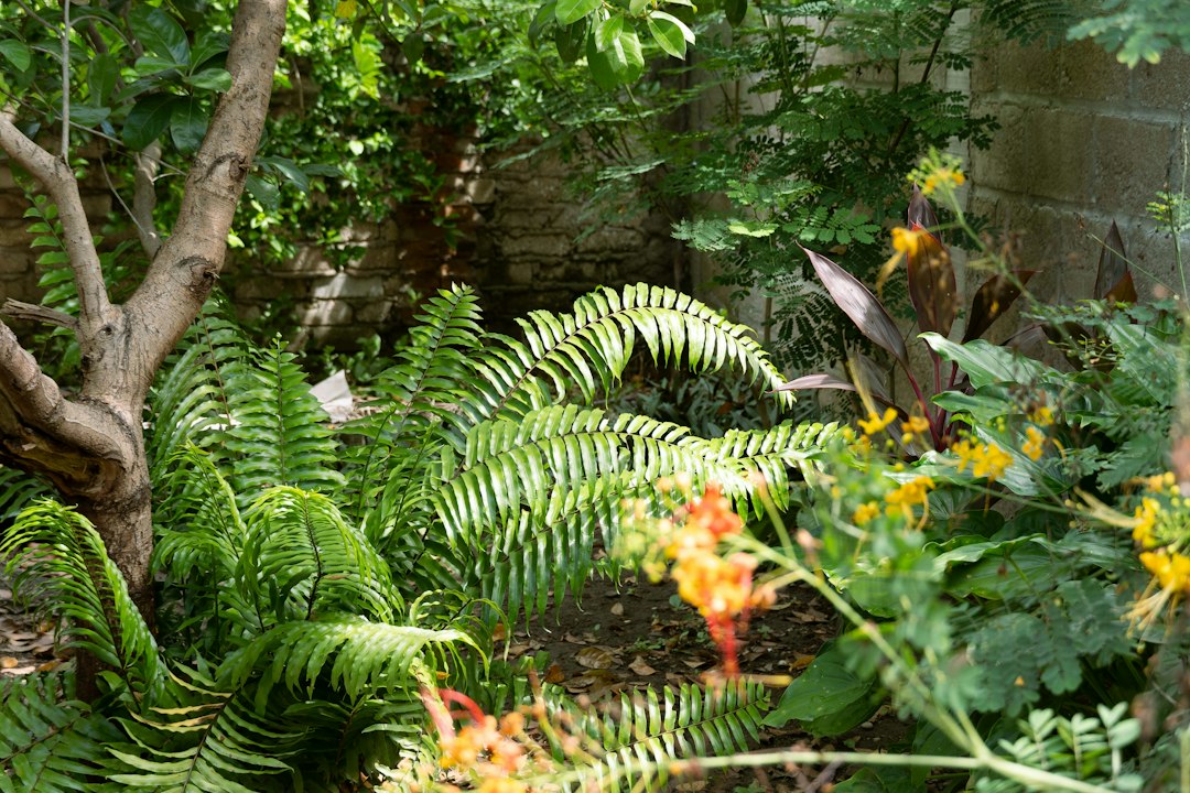 A garden filled with lots of different types of plants