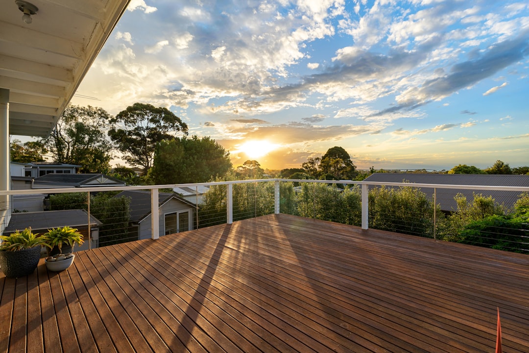 A wooden deck with a potted plant on it