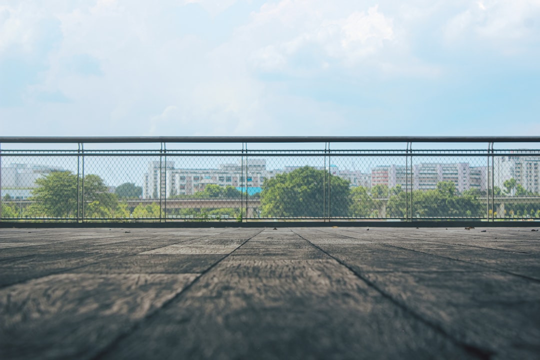 a person riding a skateboard on a bridge
