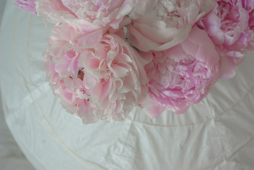 pink and white floral textile