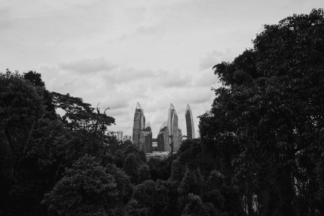 building near trees