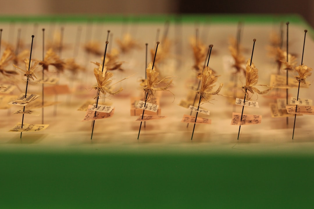 a row of pins sitting on top of a table