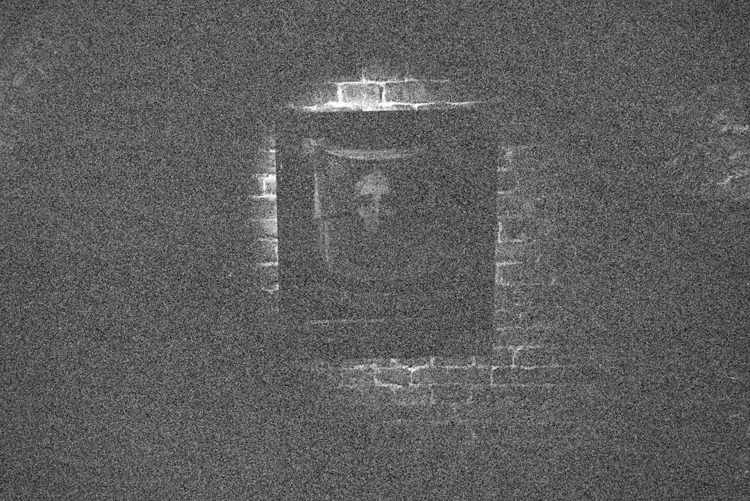 A framed portrait of a person on a dark brick wall