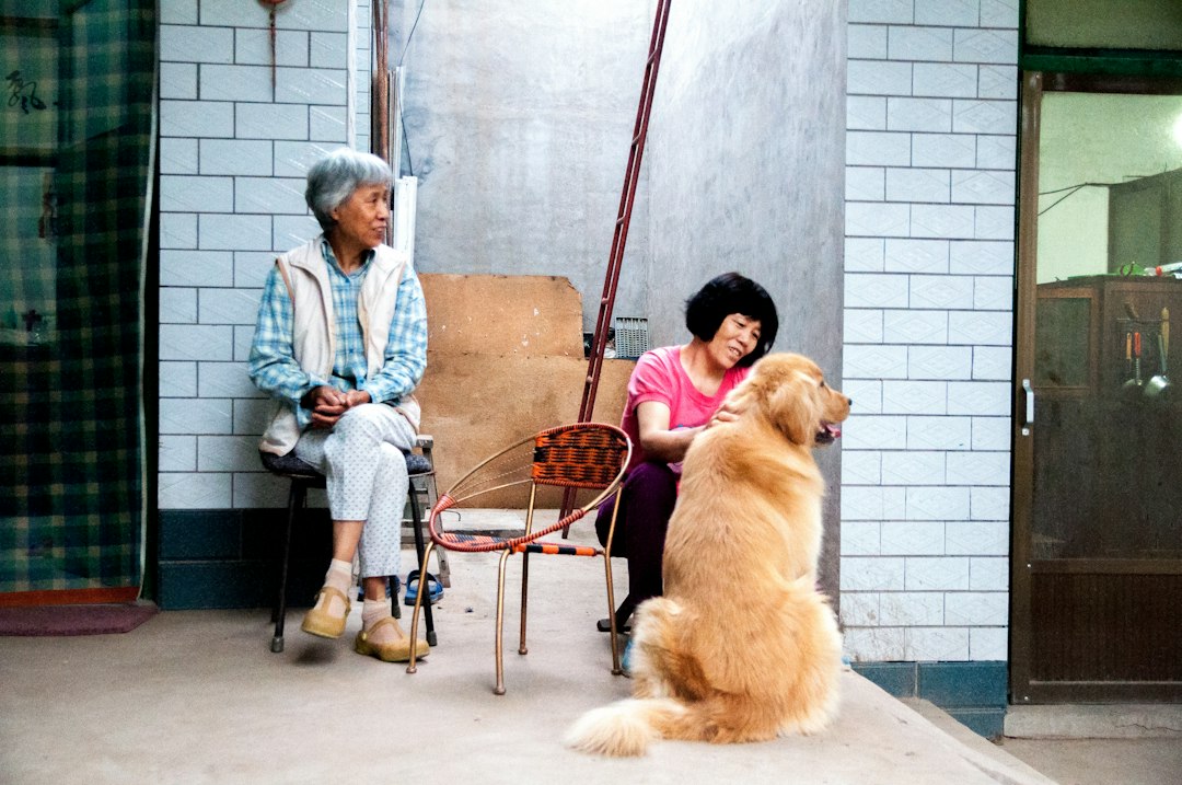 Two women and a golden retriever dog