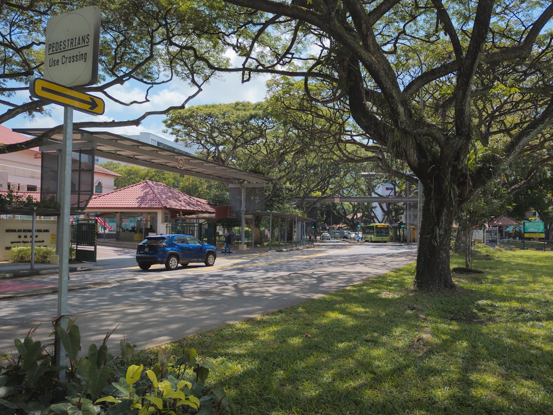 a blue car driving down a street next to a tree
