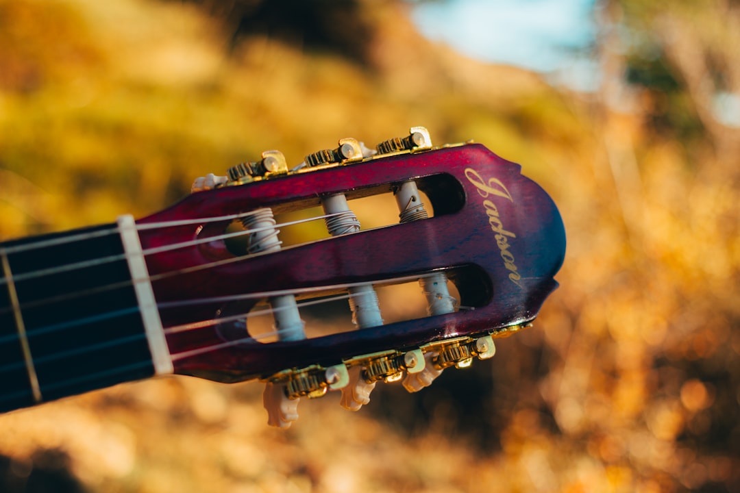 Close-up of a guitar headstock with tuning pegs.