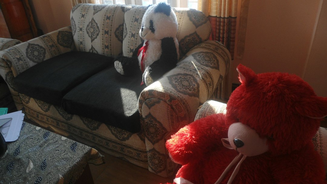 Two stuffed animals on a couch
