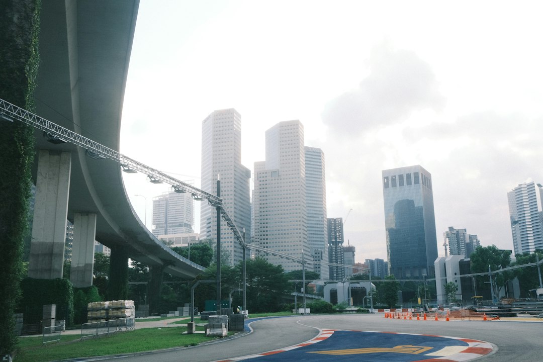 A view of a city from a park