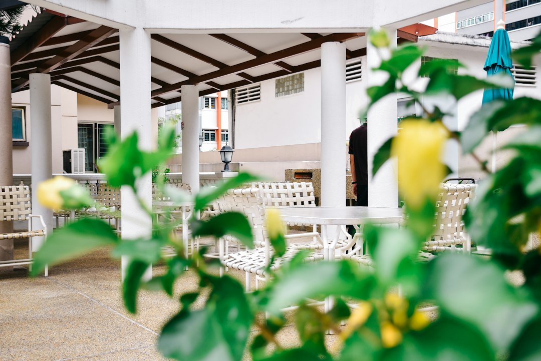 empty benches under roof during day