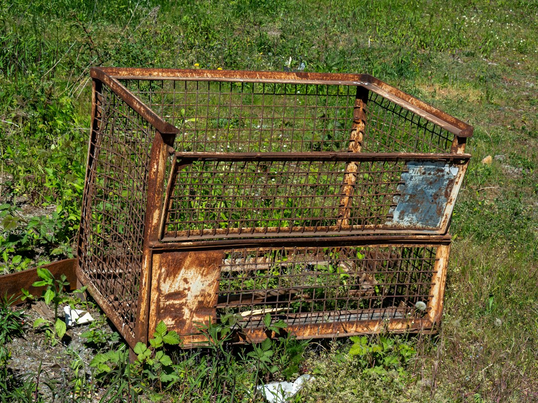 Rusty metal cage overgrown with weeds on grassy ground