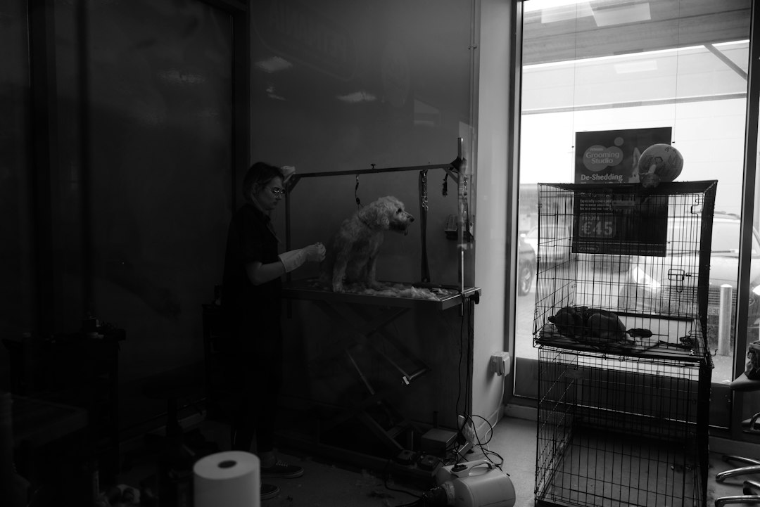 a person standing next to a cage with a cat in it