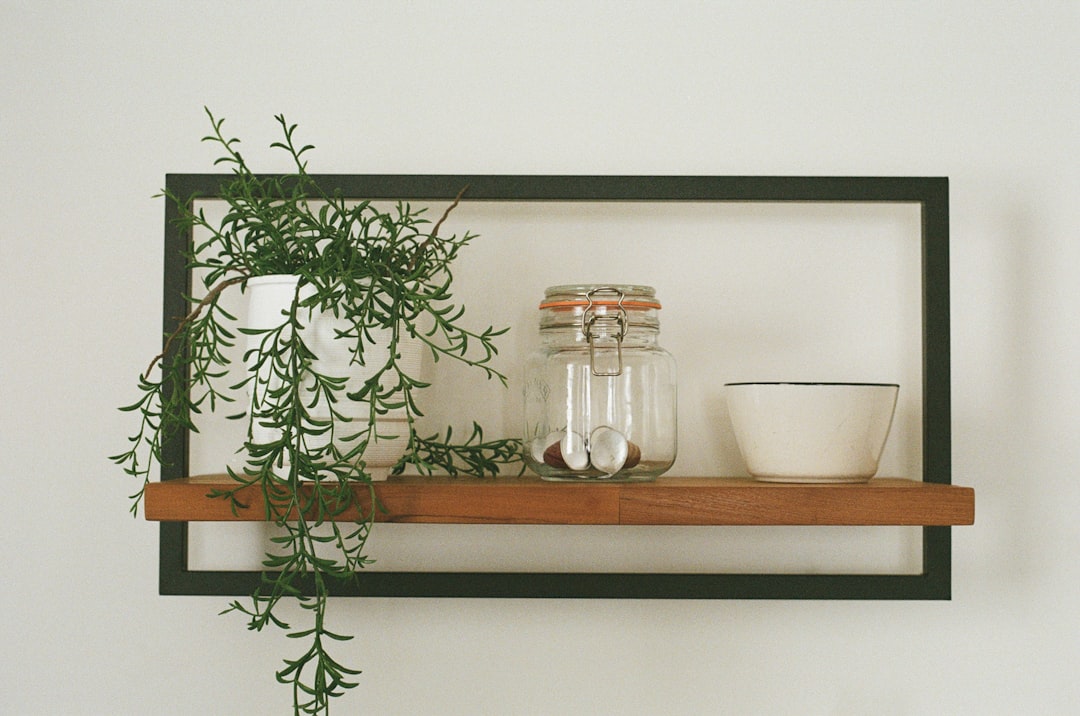 A shelf with a plant and jars