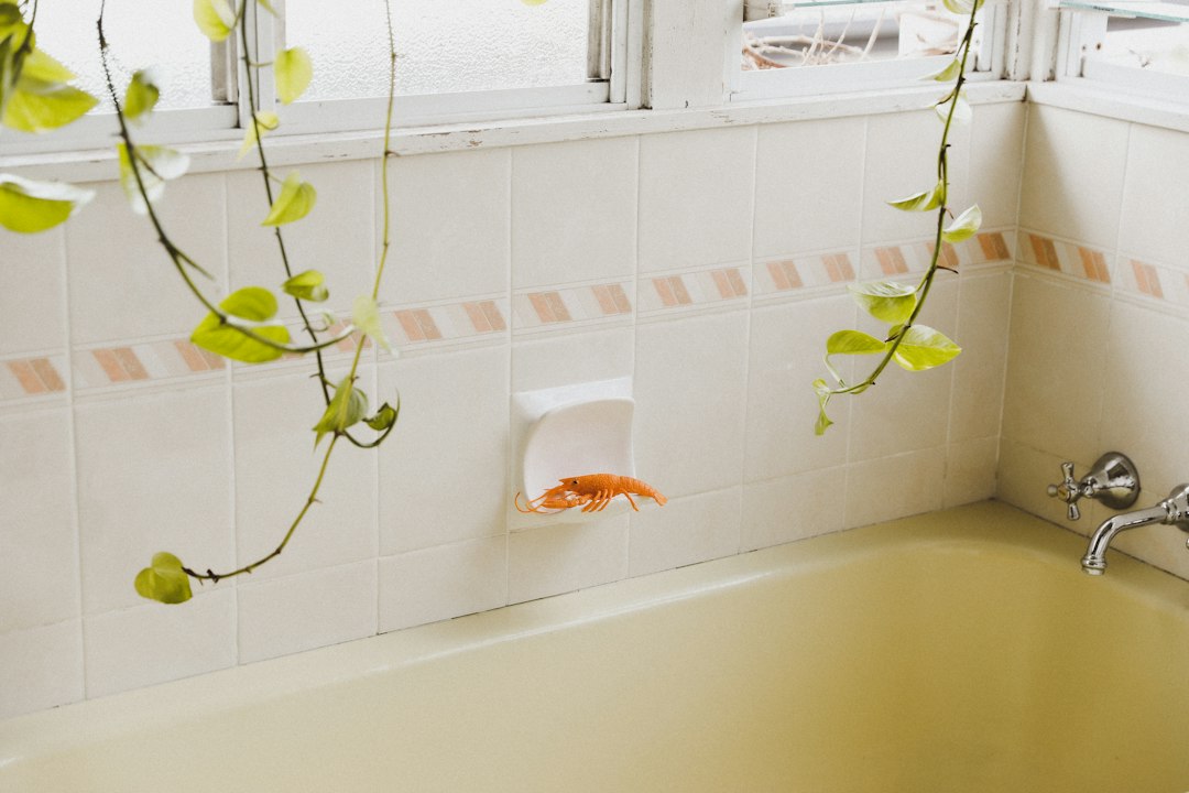 A bathtub with hanging plants and a soap dish