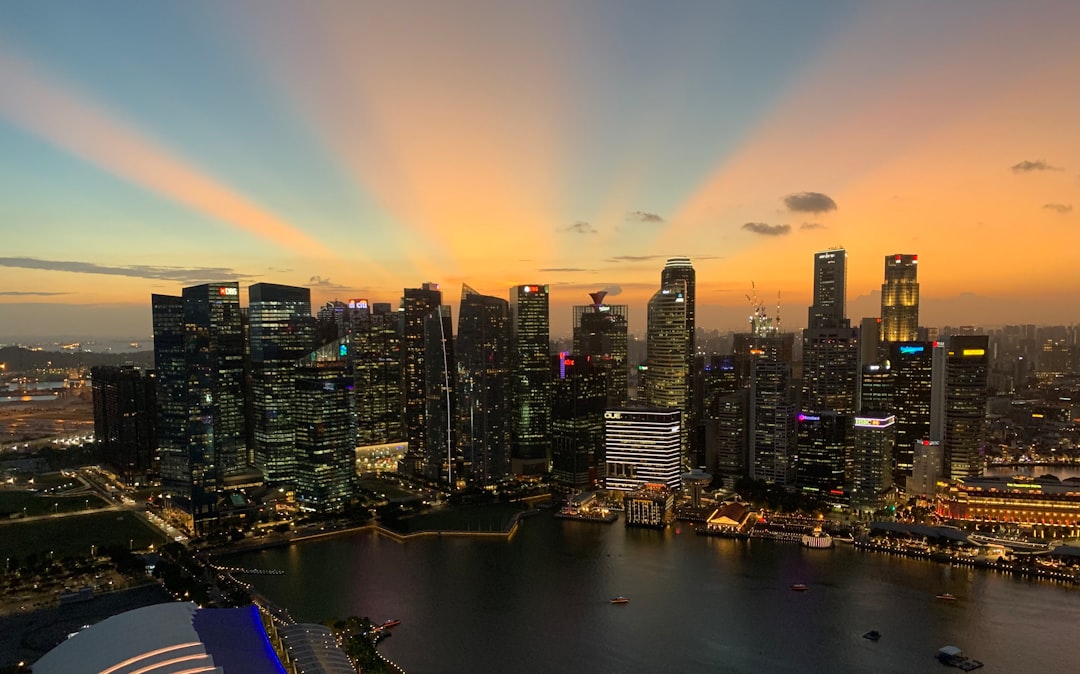 a view of a city at sunset from a tall building