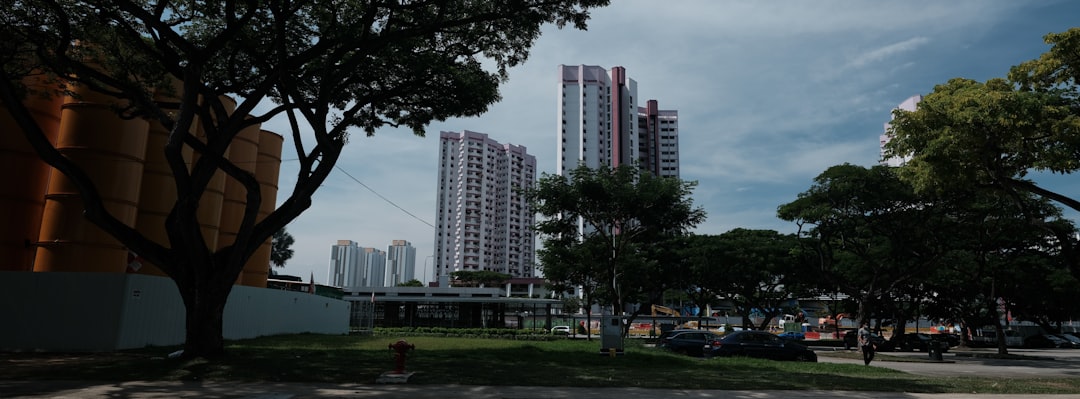 green grass field near high rise buildings during daytime