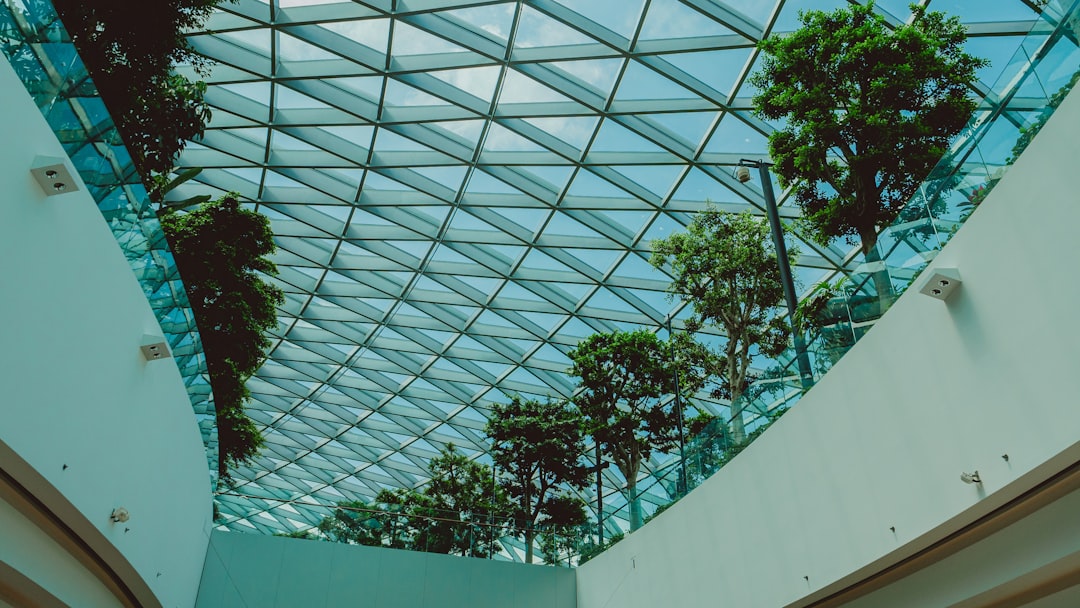 Glass ceiling with trees in a modern building.