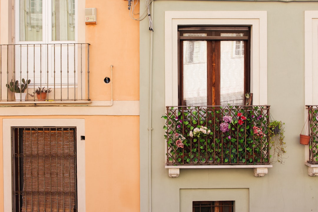 a window with flowers in it