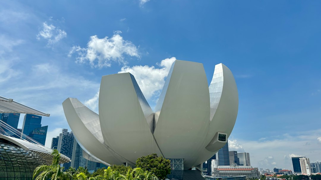 Modern building with petals under a blue sky