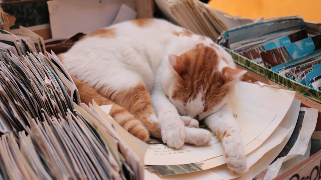an orange and white cat laying on top of a pile of papers