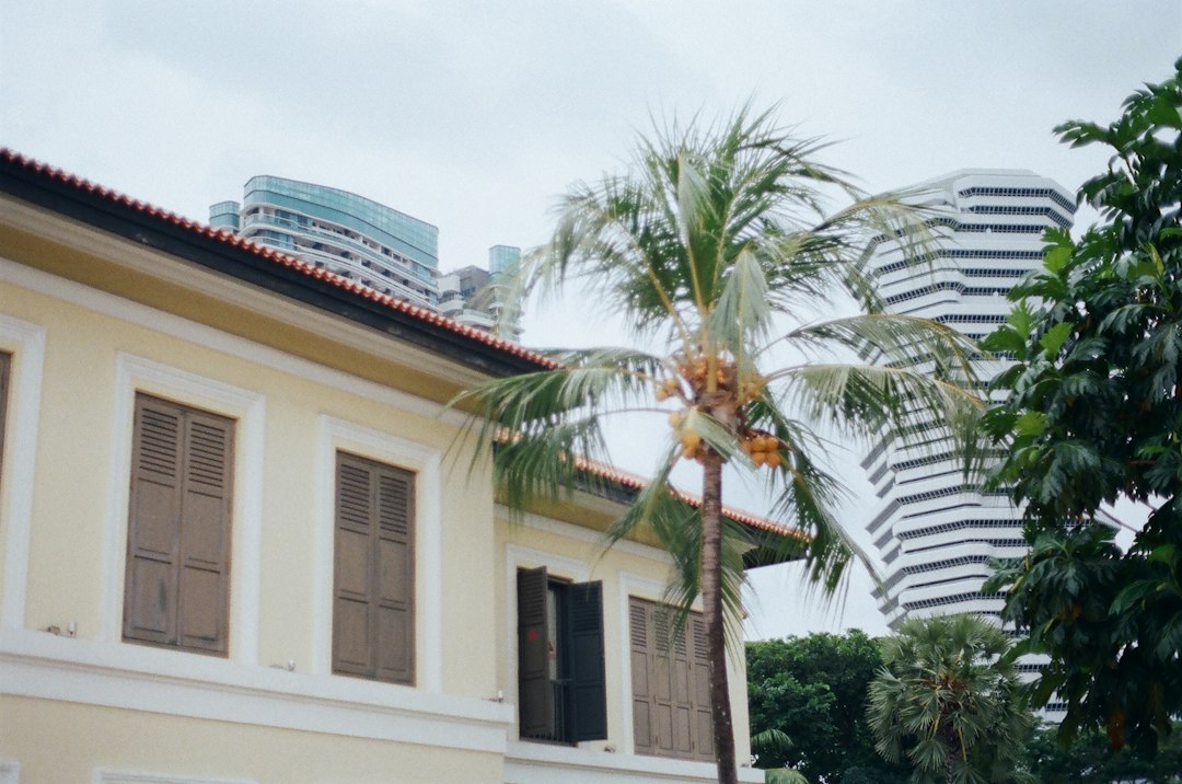 white concrete building near palm trees during daytime