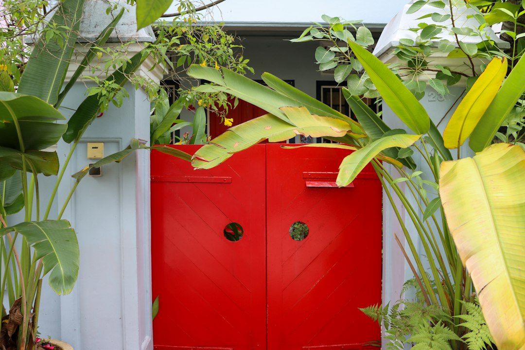 Bright red double doors surrounded by lush green plants