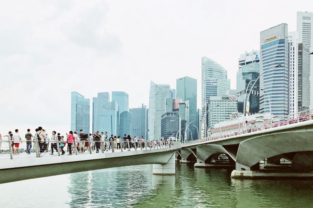 people waking on bridge during daytime
