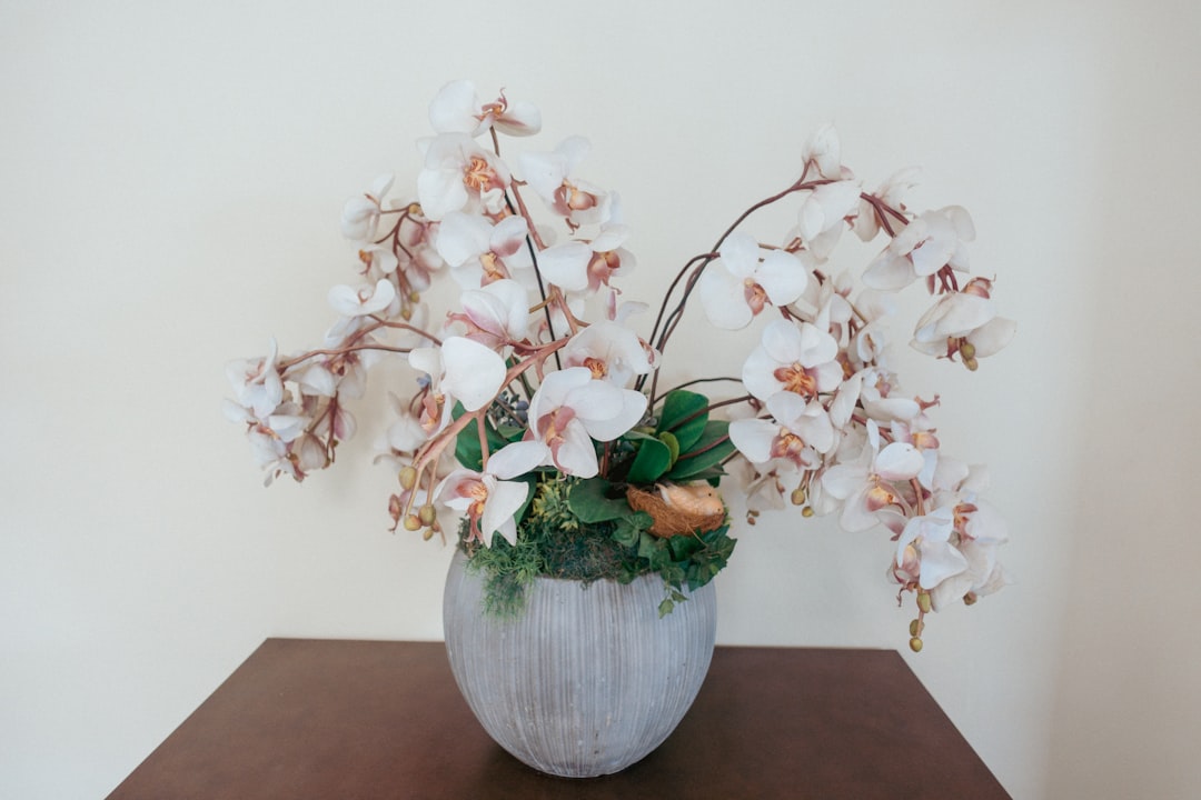a vase with white flowers