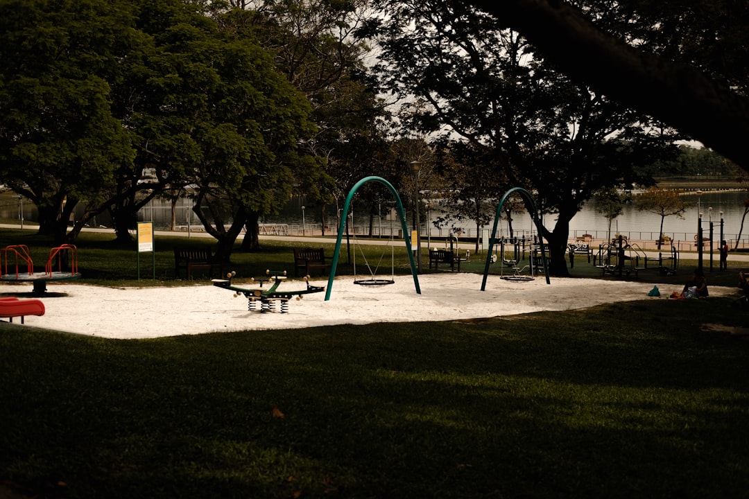 a park with a playground and a lake in the background