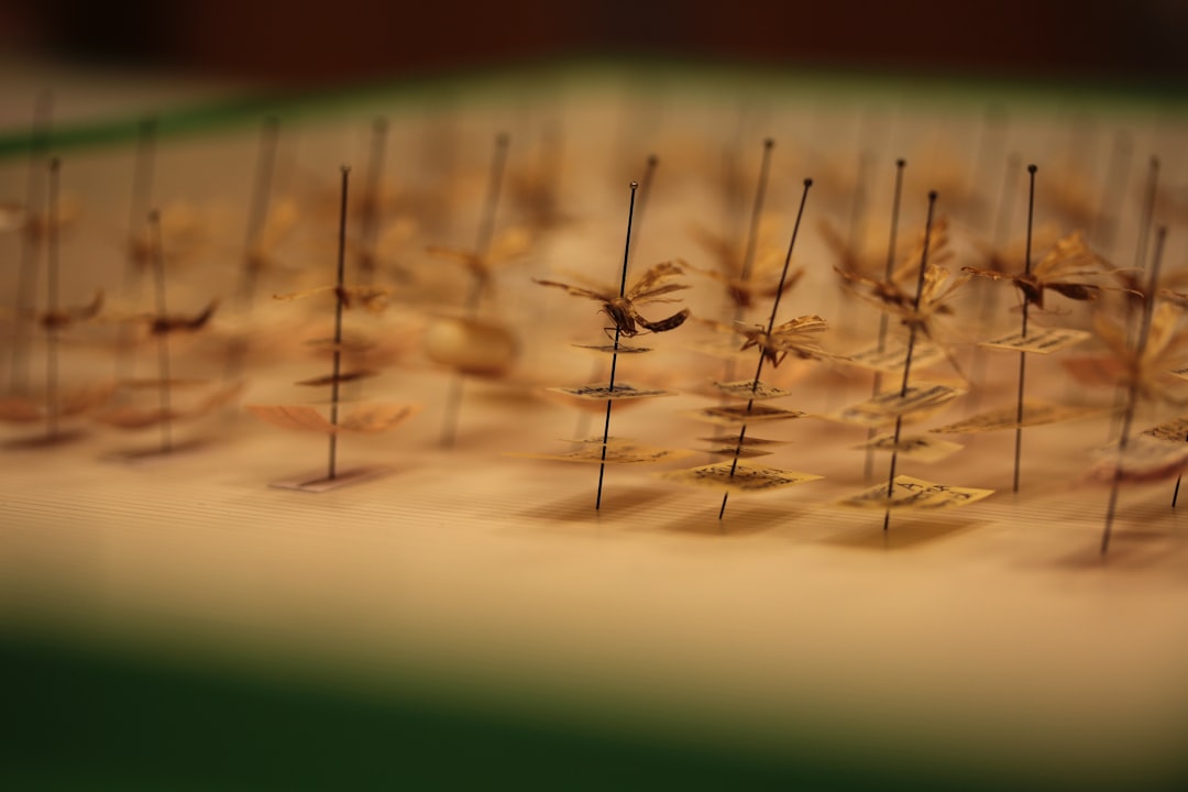a bunch of needles that are on a table