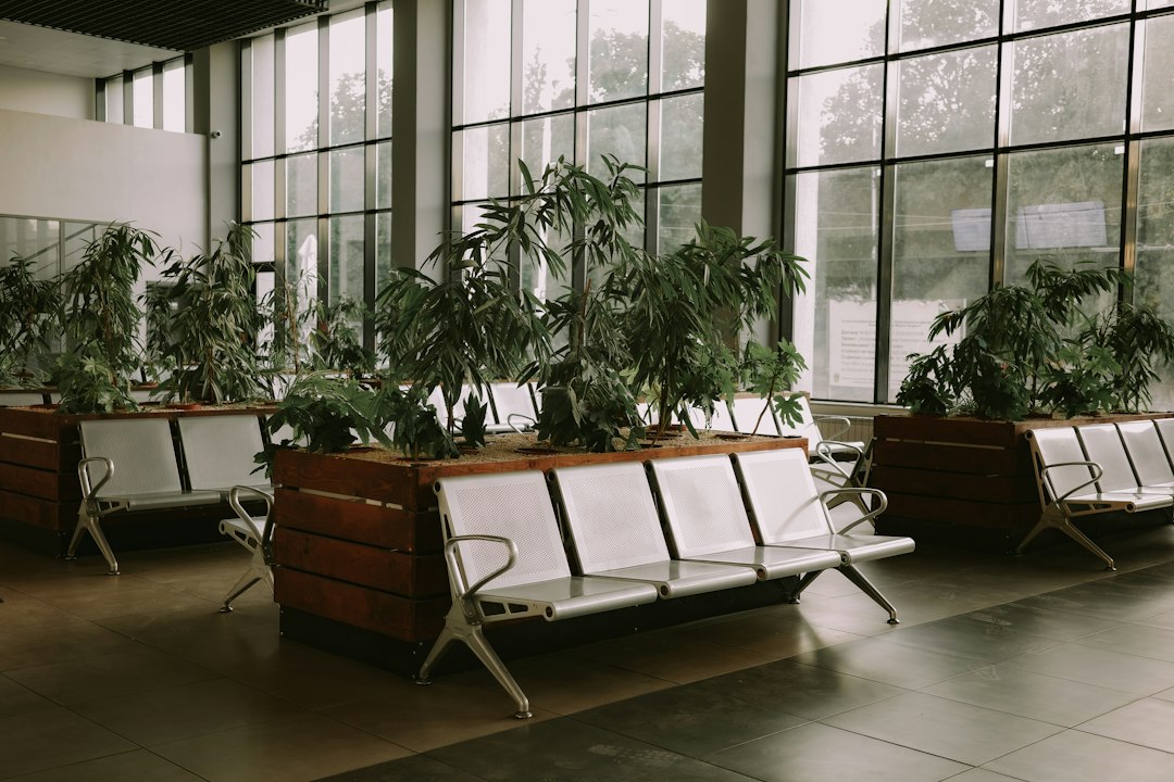 Rows of empty benches with potted plants indoors