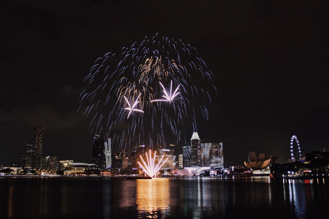 fireworks in the bay at night time