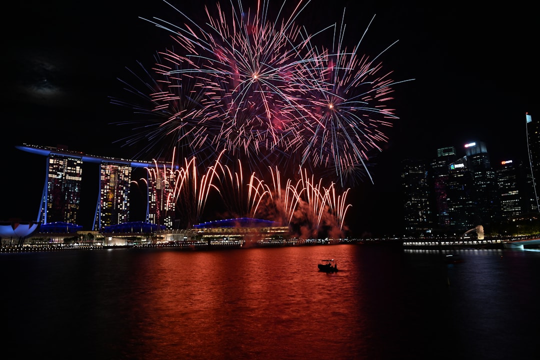 Fireworks are lit up in the night sky over a city