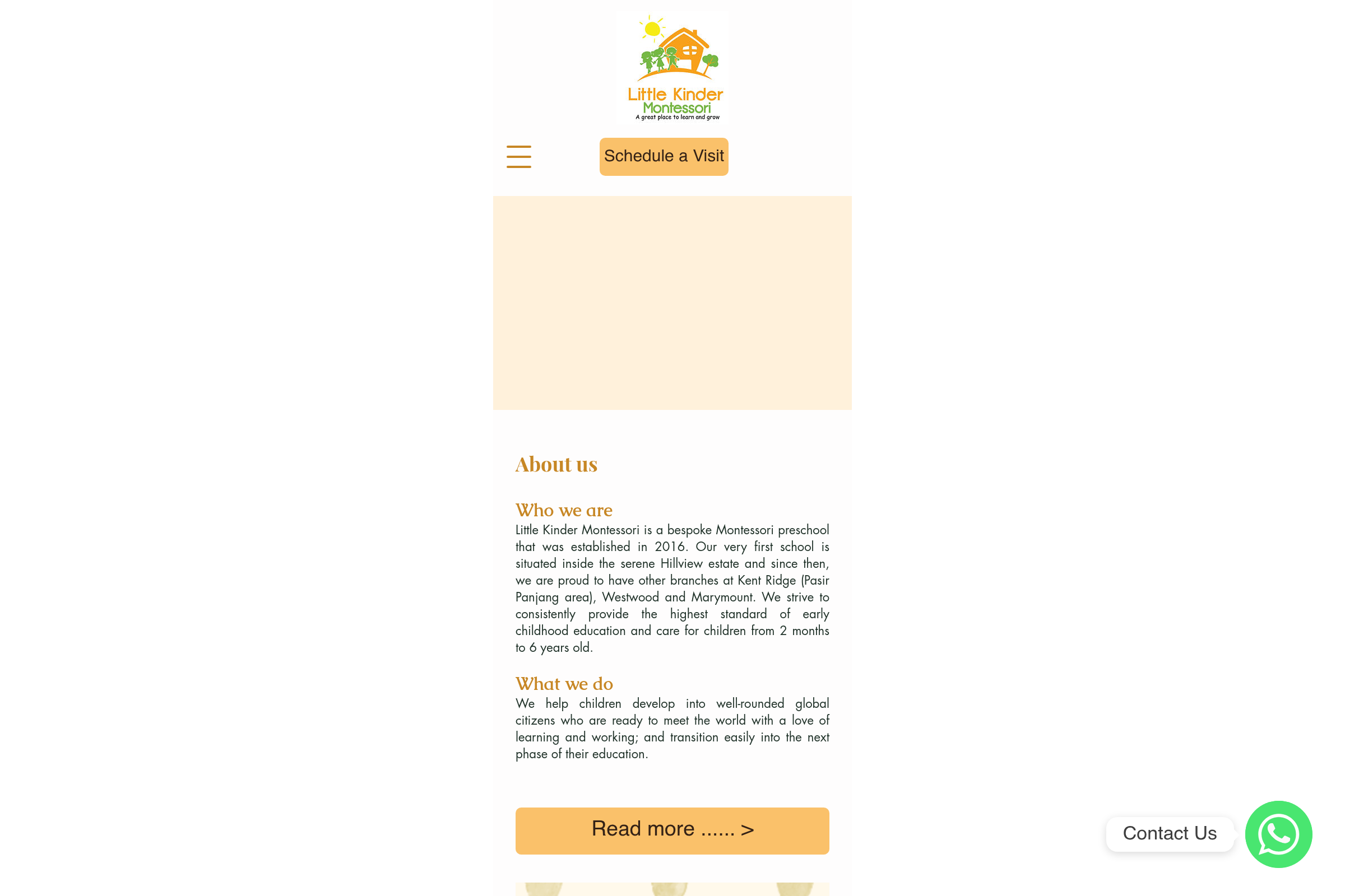 Little Kinder Montessori website preview